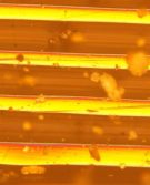 Dirty Before Cleaning