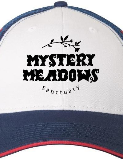 Mystery Meadows Logo Hat